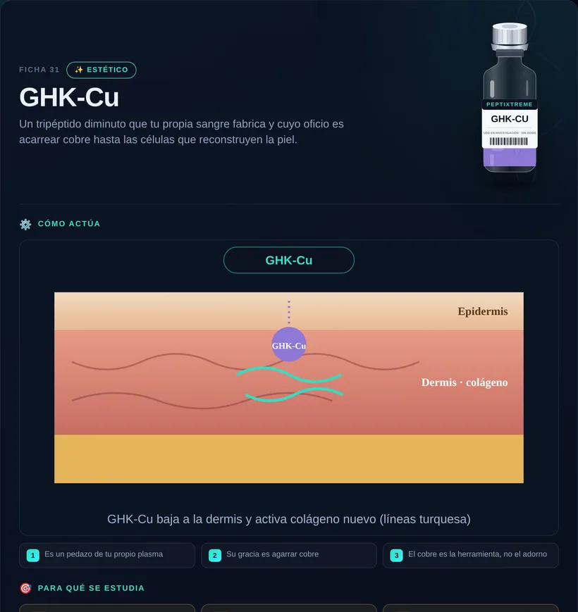 Ficha ilustrada de GHK-Cu