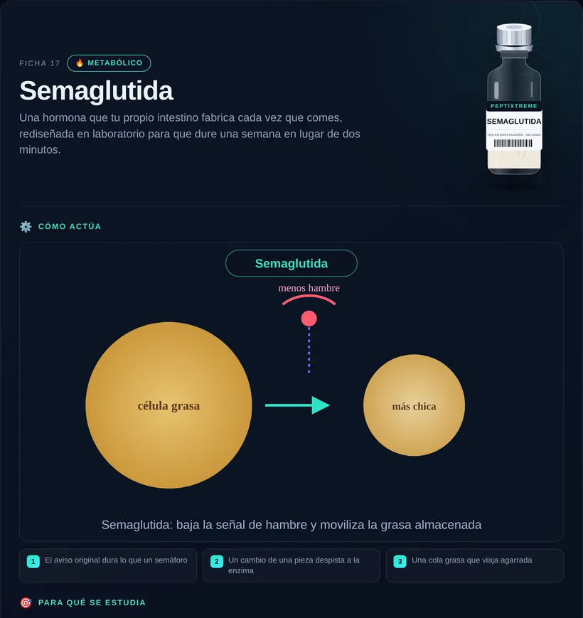 Ficha ilustrada de Semaglutida